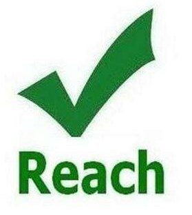 REACH测试