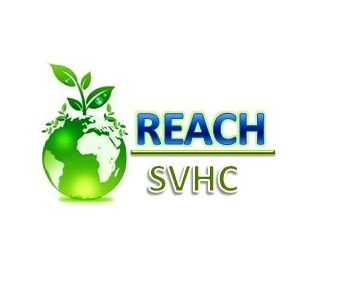 REACH报告