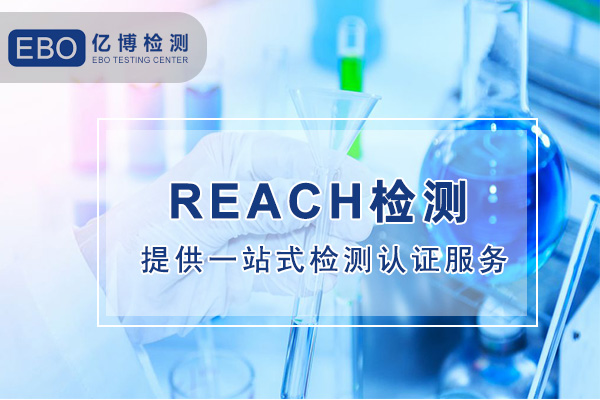 reach检测报告