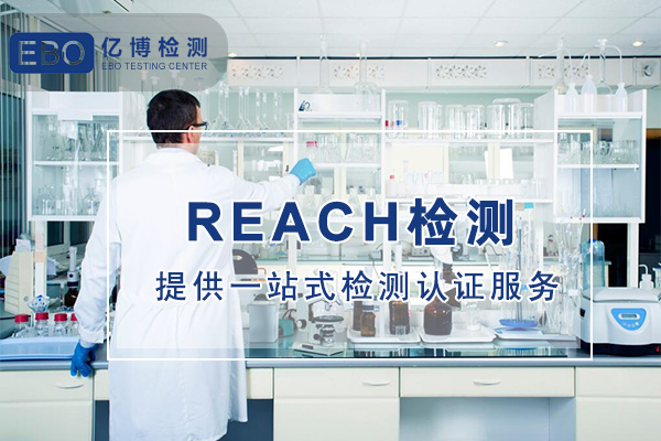 REACH检测